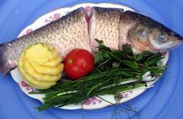 Cá trắm có tác dụng phòng hiệu quả các bệnh đau dạ dày, sốt rét, mãn kinh